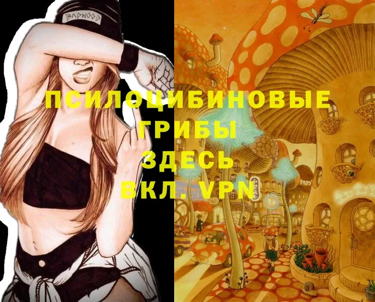 Галлюциногенные грибы Psilocybe  hydra как войти  Казань 